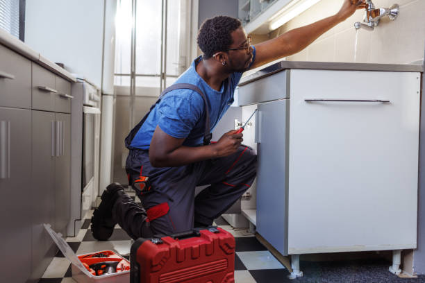 Best Plumbing Inspections & Maintenance in Wtmore Village, HI